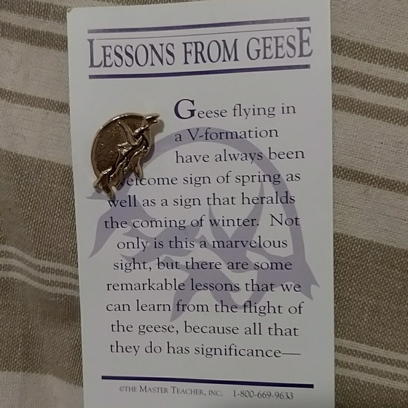 Jewelry - Lessons From Geese Lapel Pin